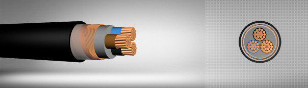 0.6/1 kV PVC Insulated, Concentric Conductor Screen, Multi-Core Cables With Copper Conductor