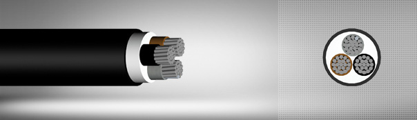 0.6/1 kV PVC Insulated, Multi-Core Cables With Aluminium Conductor