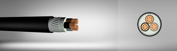 0.6/1 kV PVC Insulated, Flat Steel Wire Armoured, Multi-Core Cables With Copper Conductor
